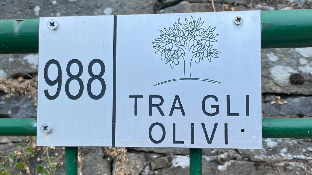 Tra Gli Olivi Apartamento Lucca Exterior foto