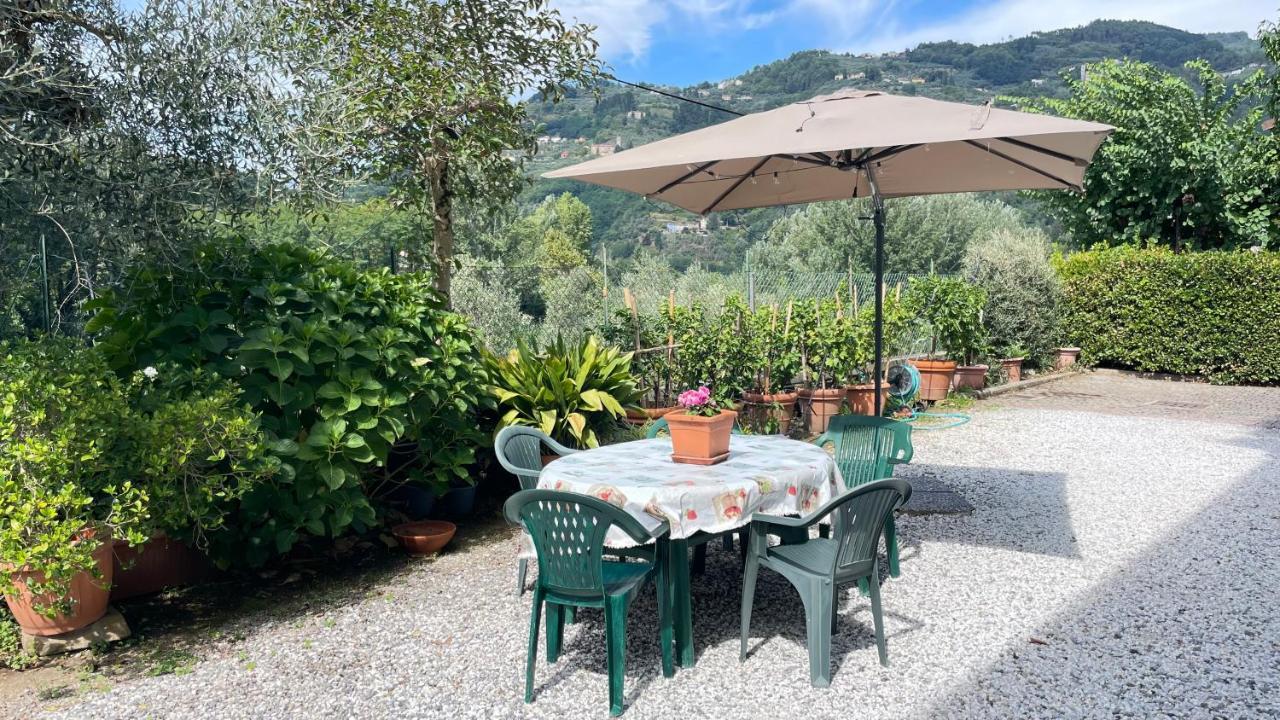 Tra Gli Olivi Apartamento Lucca Exterior foto