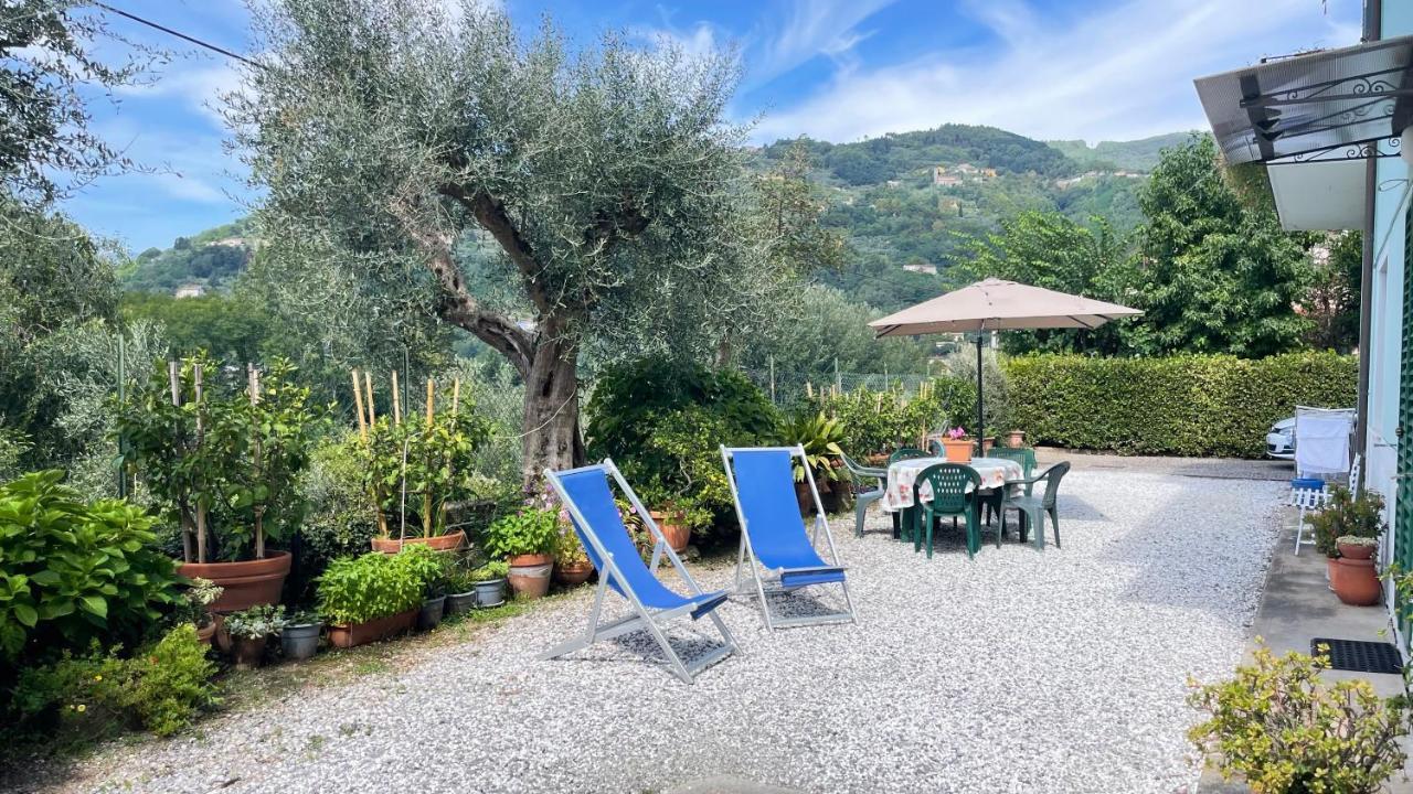 Tra Gli Olivi Apartamento Lucca Exterior foto
