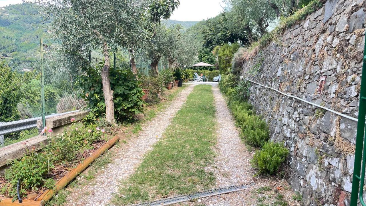 Tra Gli Olivi Apartamento Lucca Exterior foto