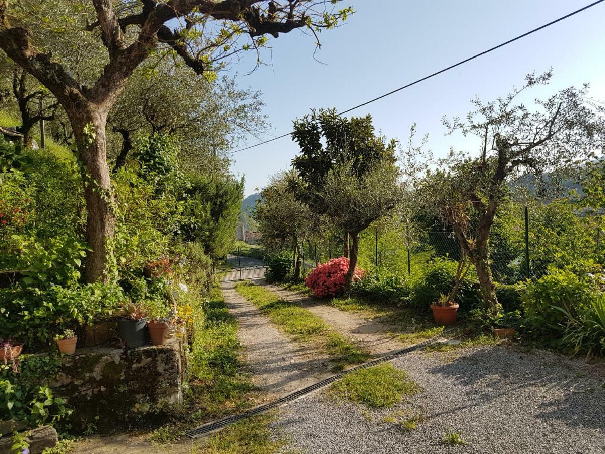 Tra Gli Olivi Apartamento Lucca Exterior foto